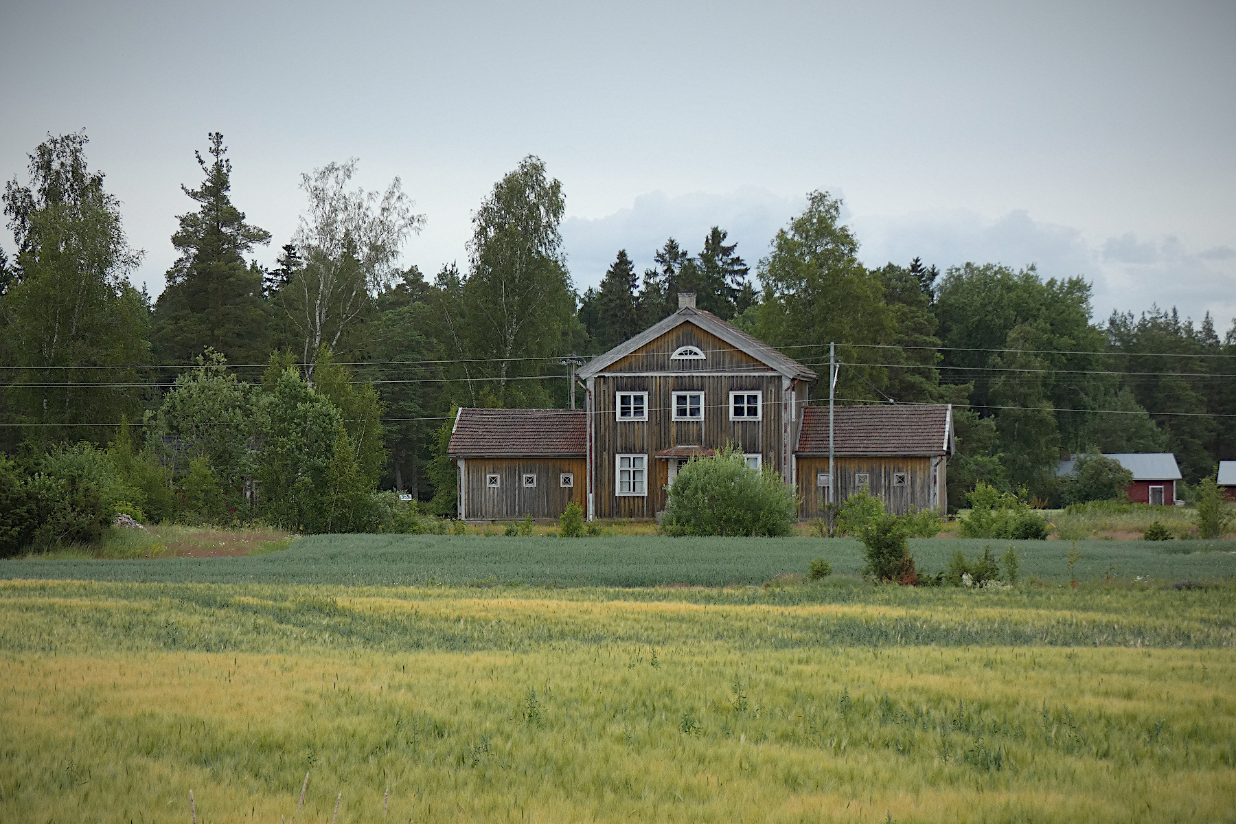 Jimi Lappalainen