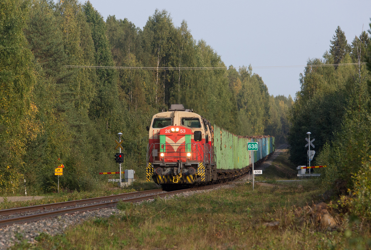 Teemu Saukkonen