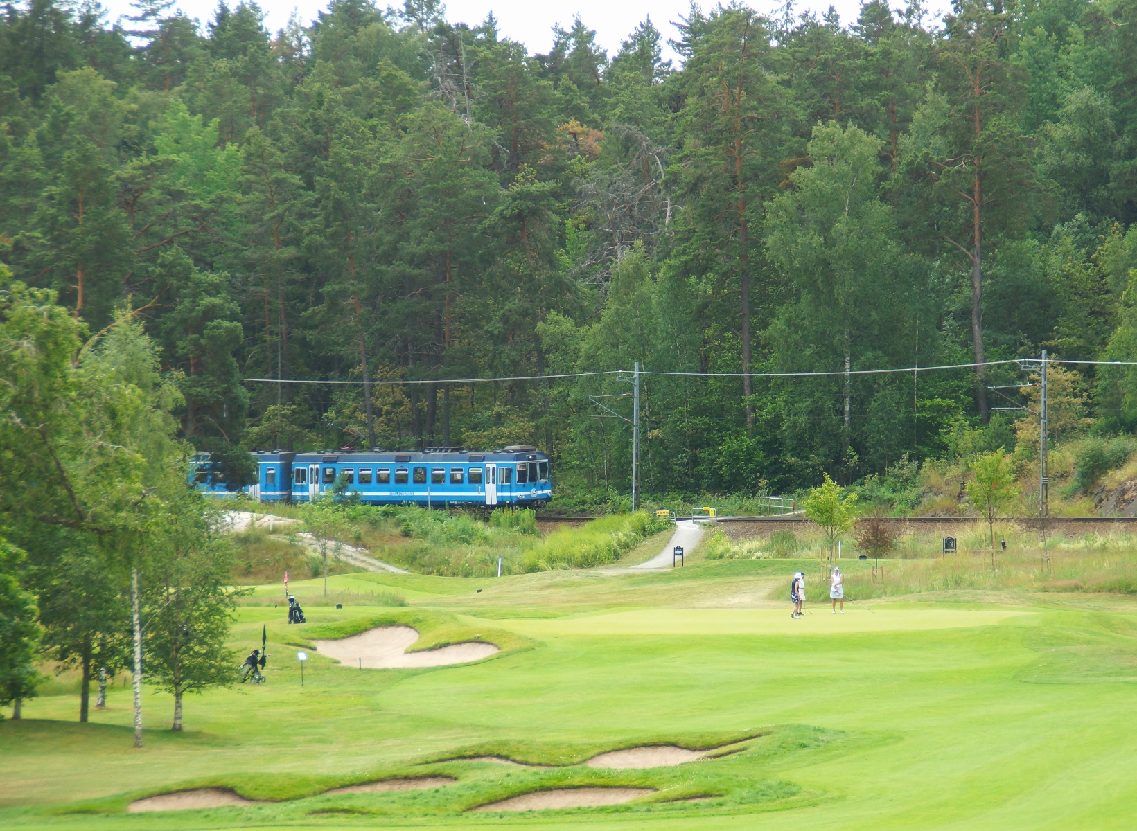 Hannu Peltola
