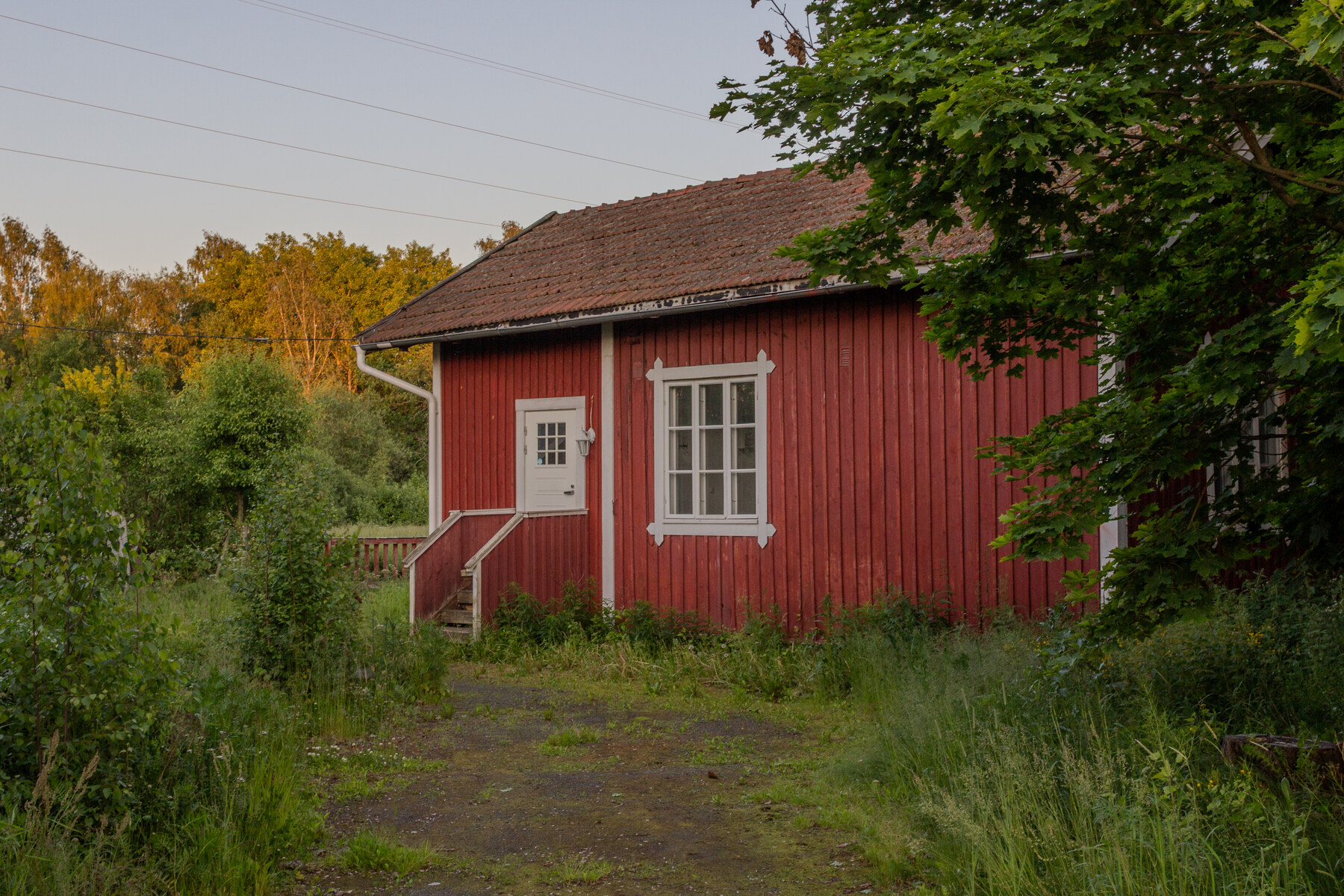 Visa Pöntinen