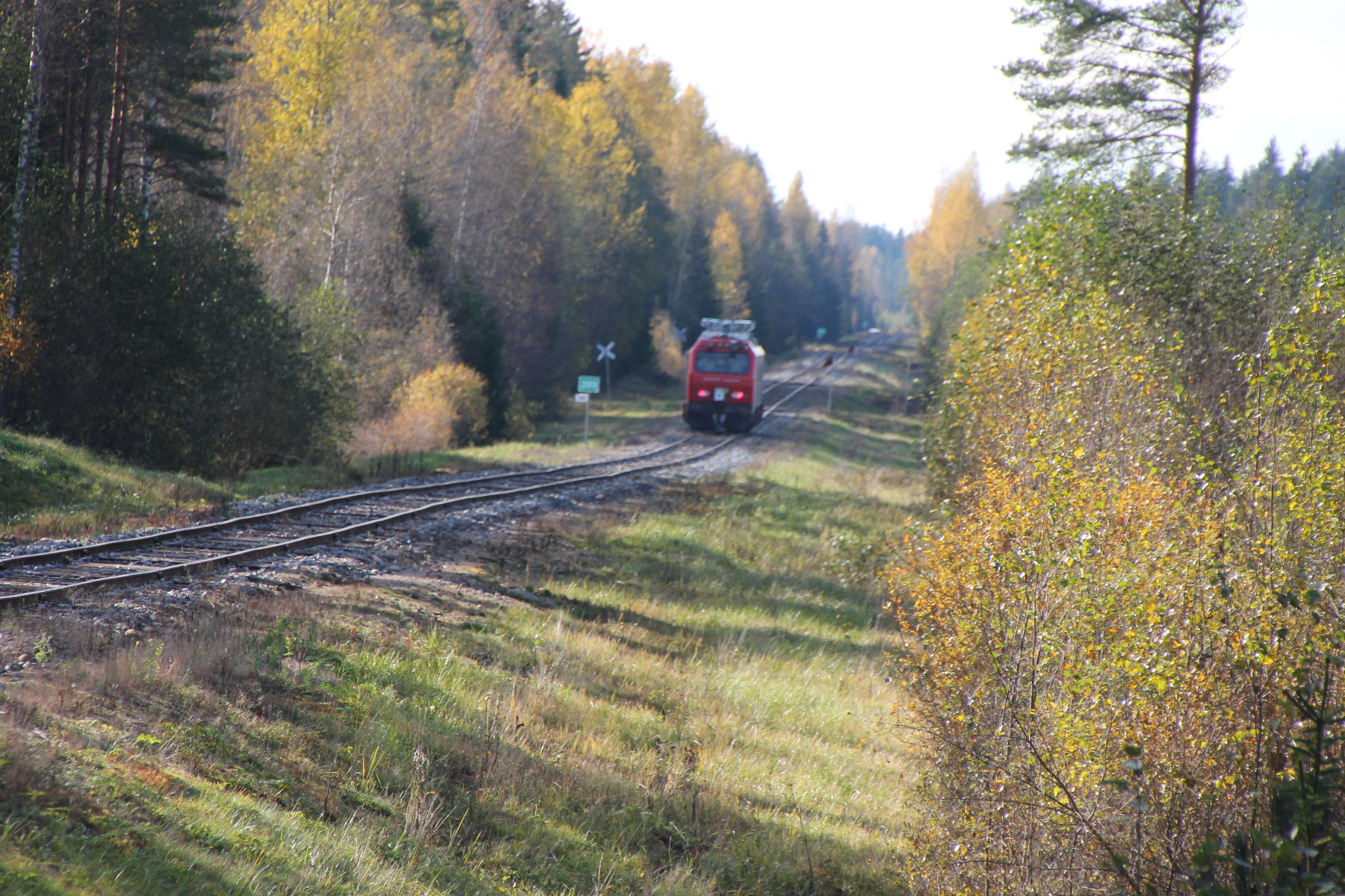 Jari Välimaa