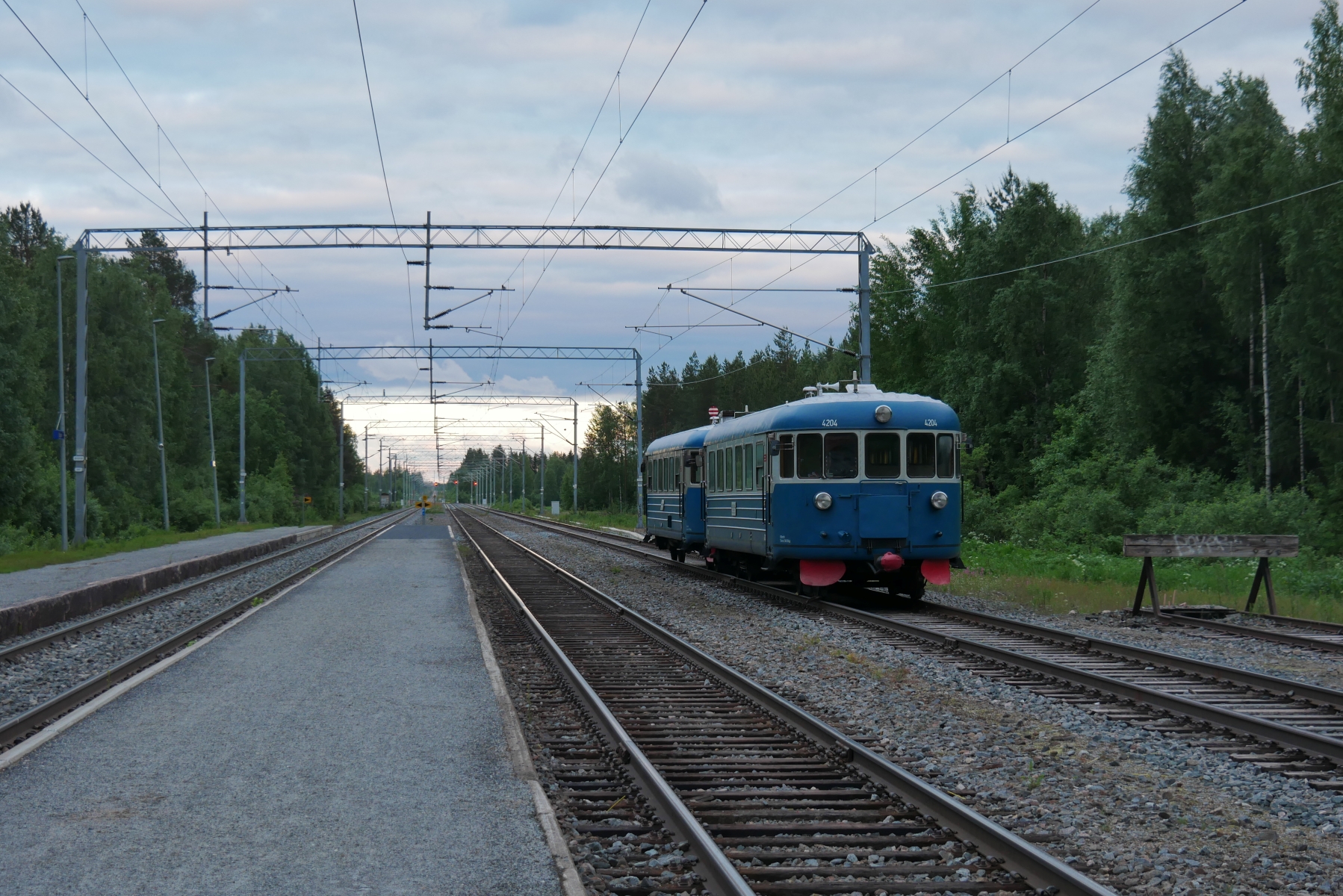 Aapo Niemelä