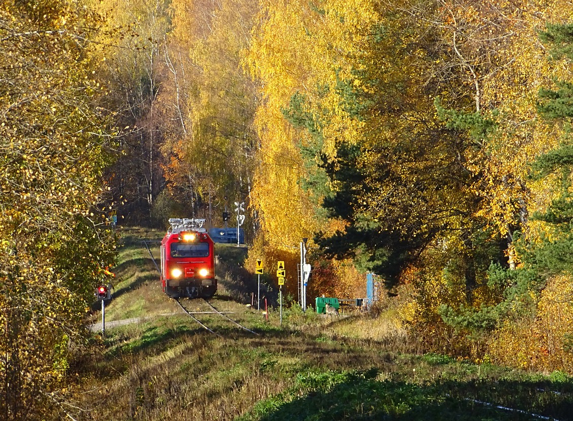 Jukka Martio