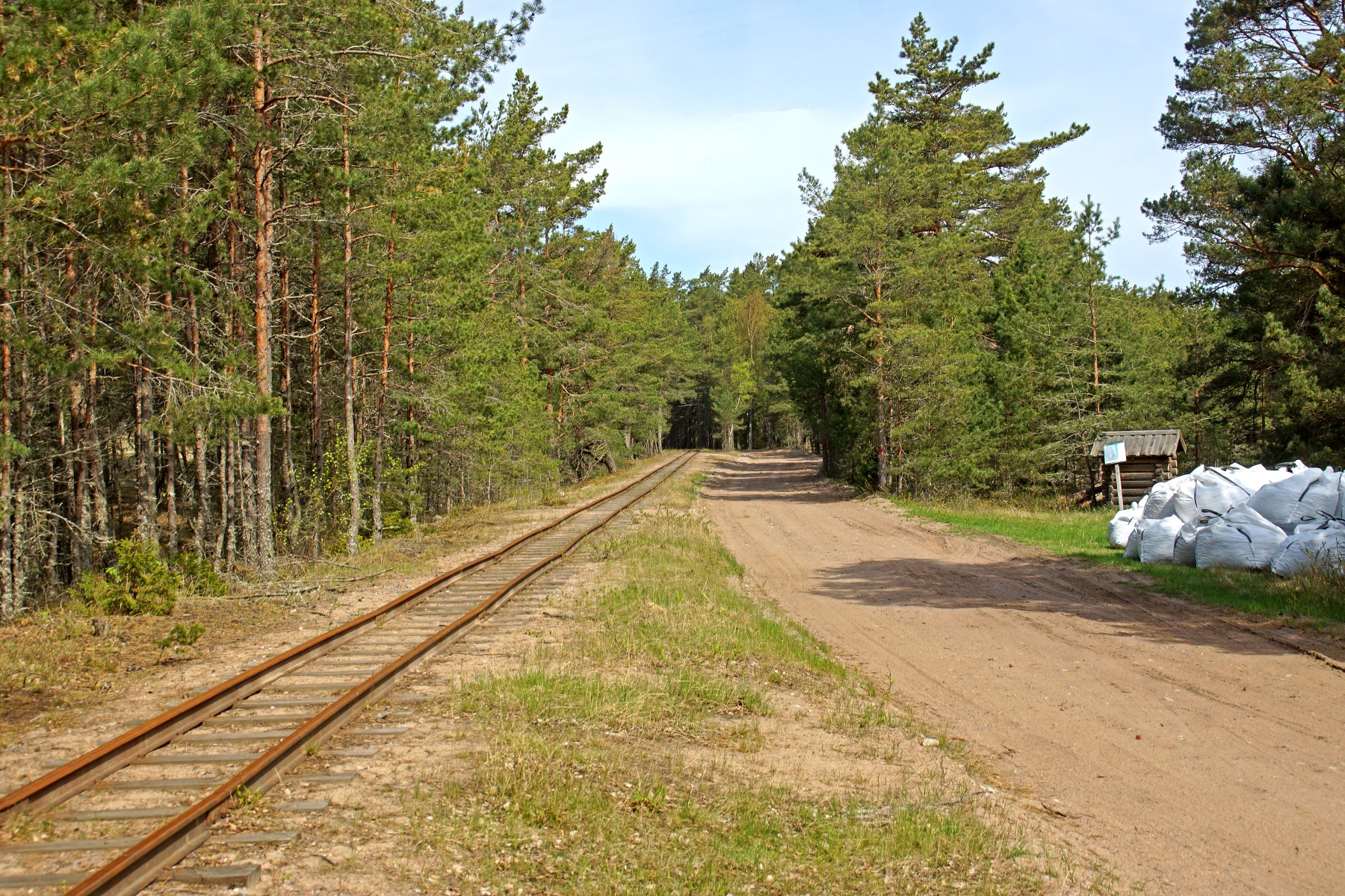 Hannu Peltola