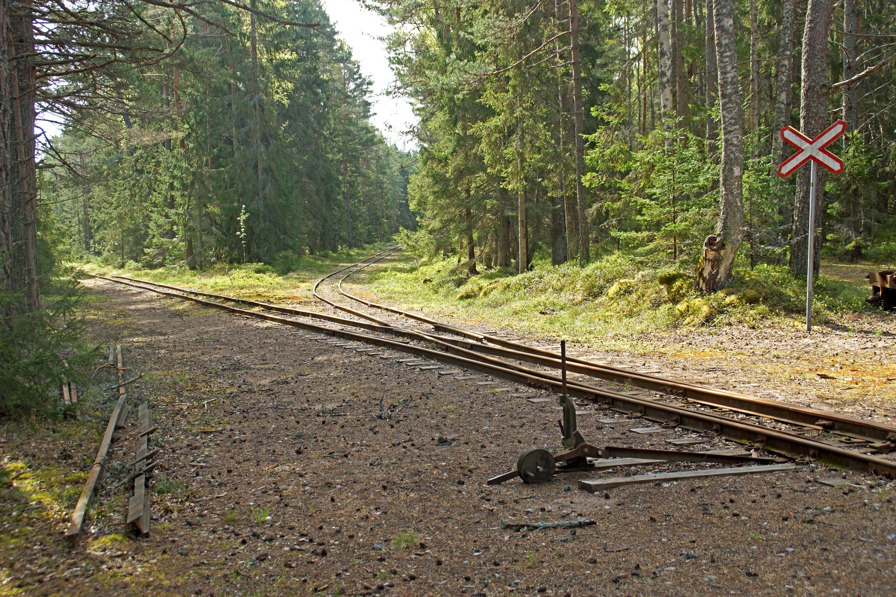 Hannu Peltola