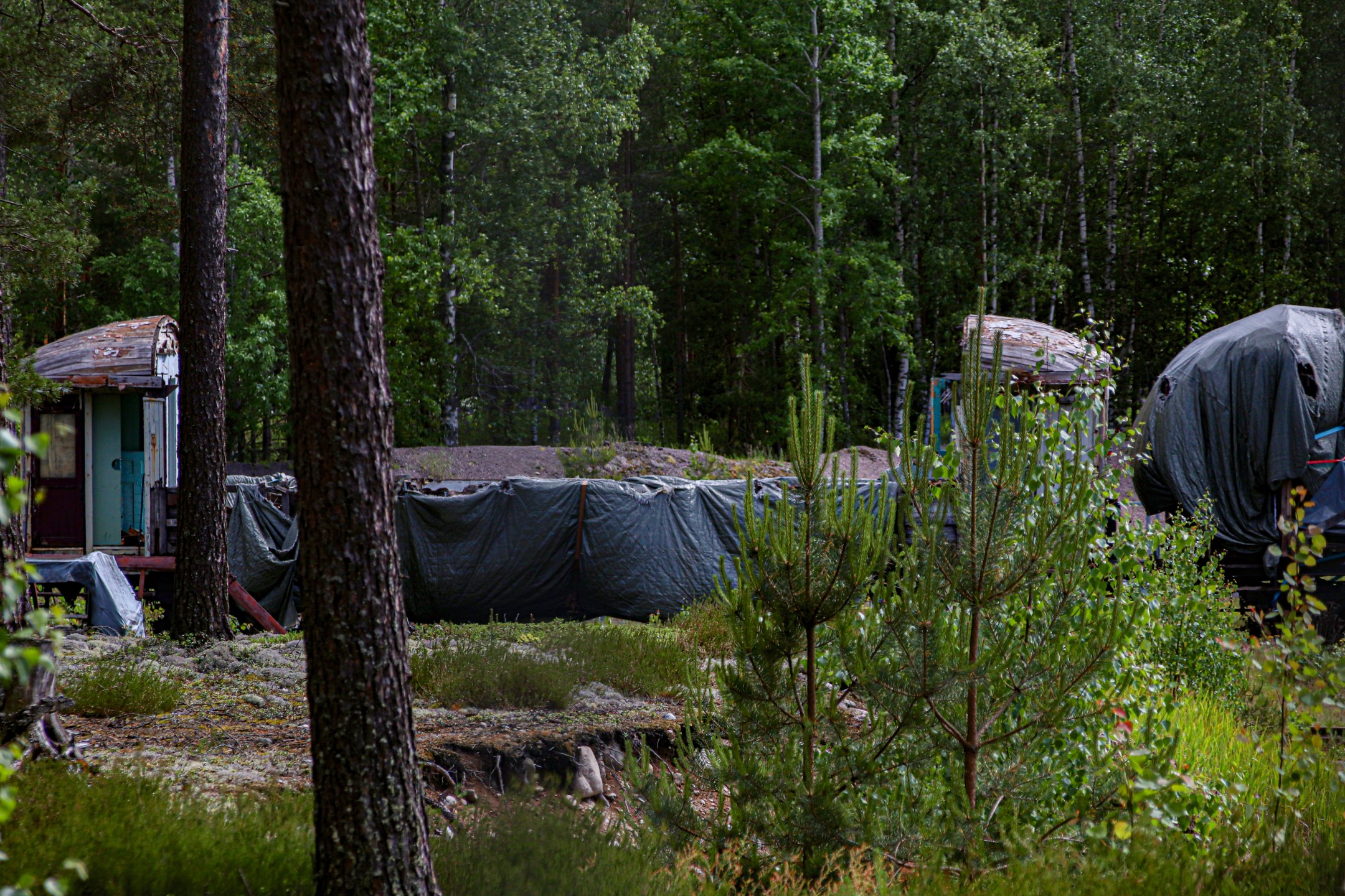 Veikko Hattunen