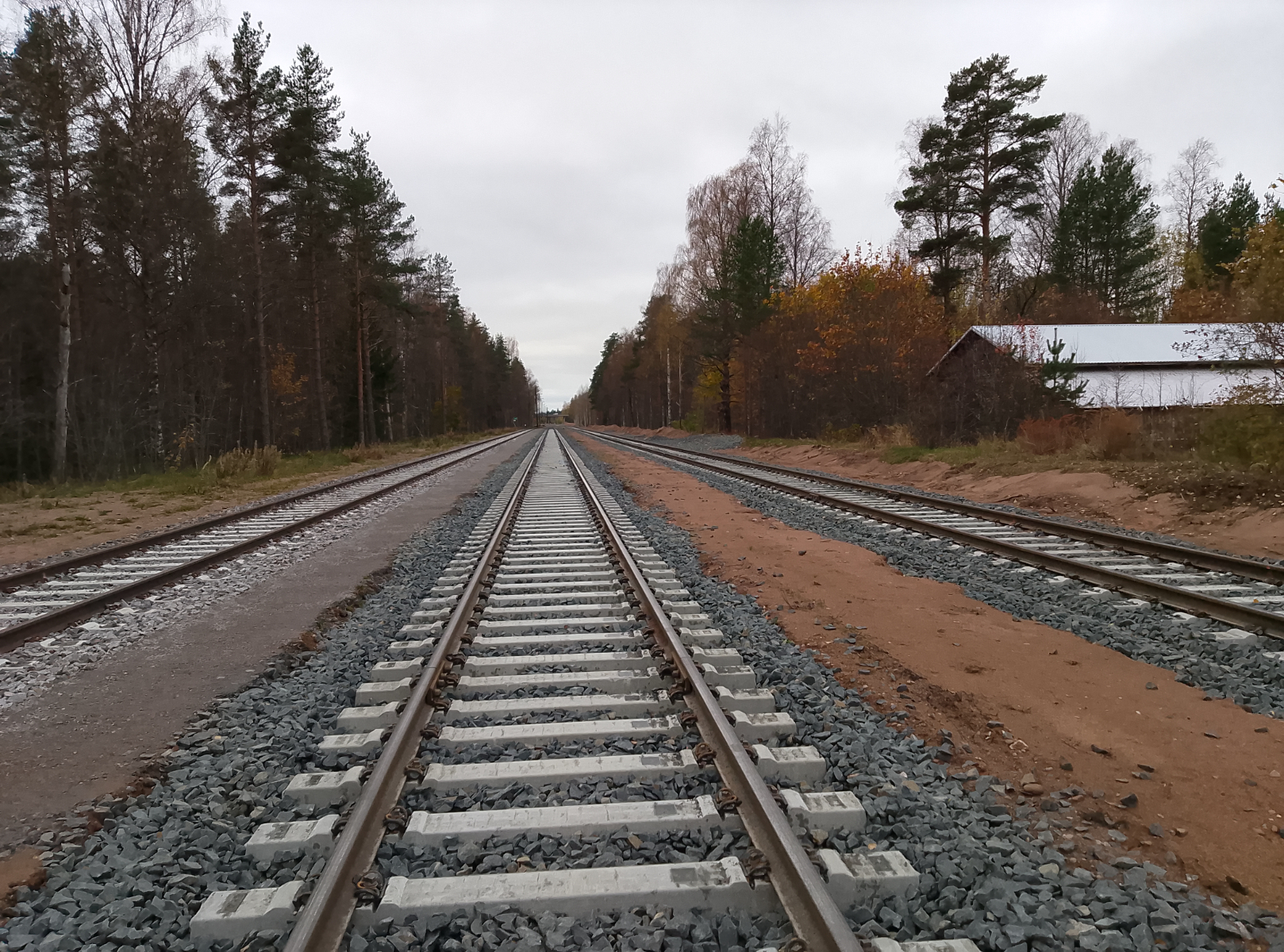 Jari Välimaa