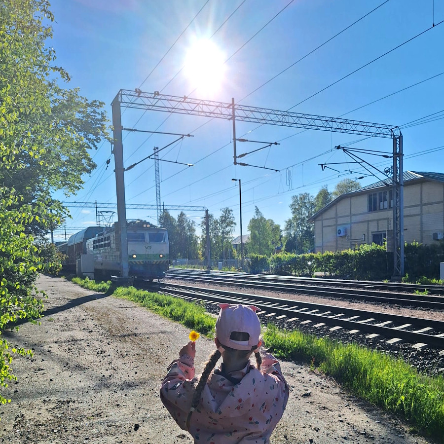 Viivi Lanne