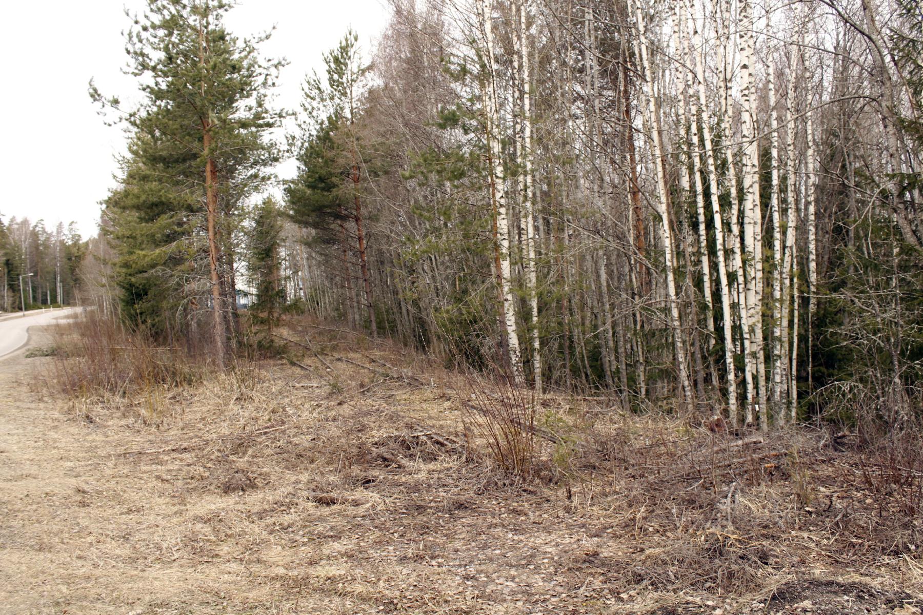 Jarno Heikkinen