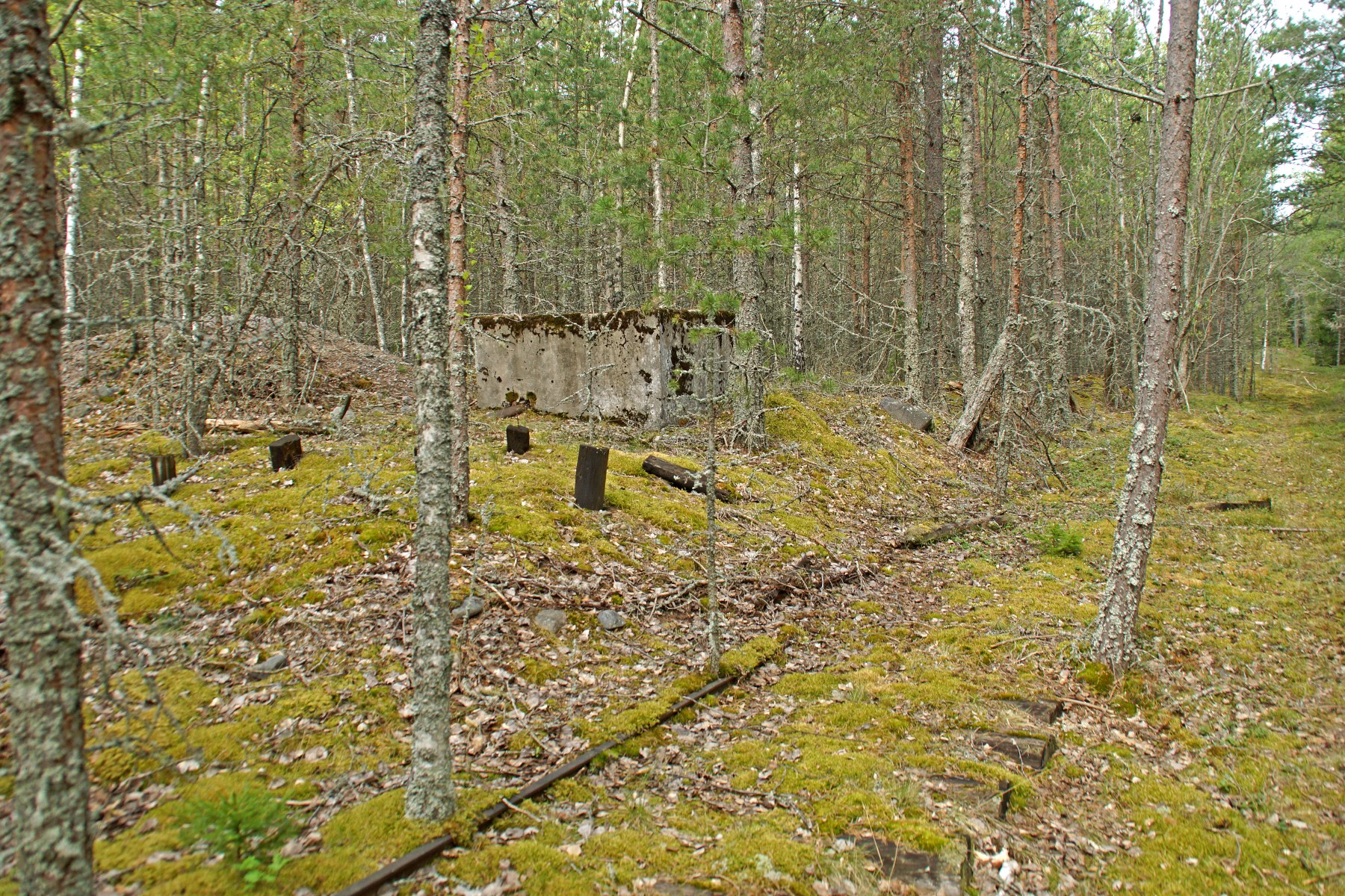 Hannu Peltola