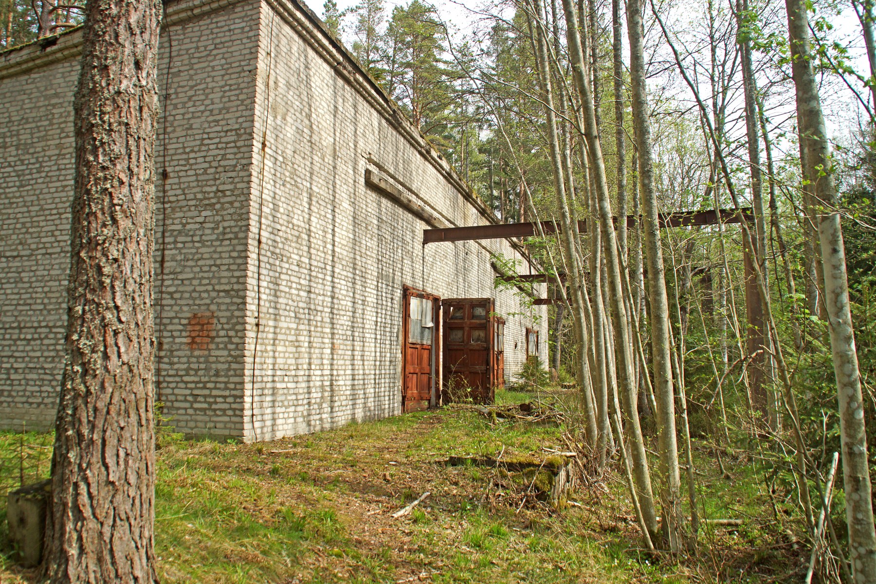 Hannu Peltola