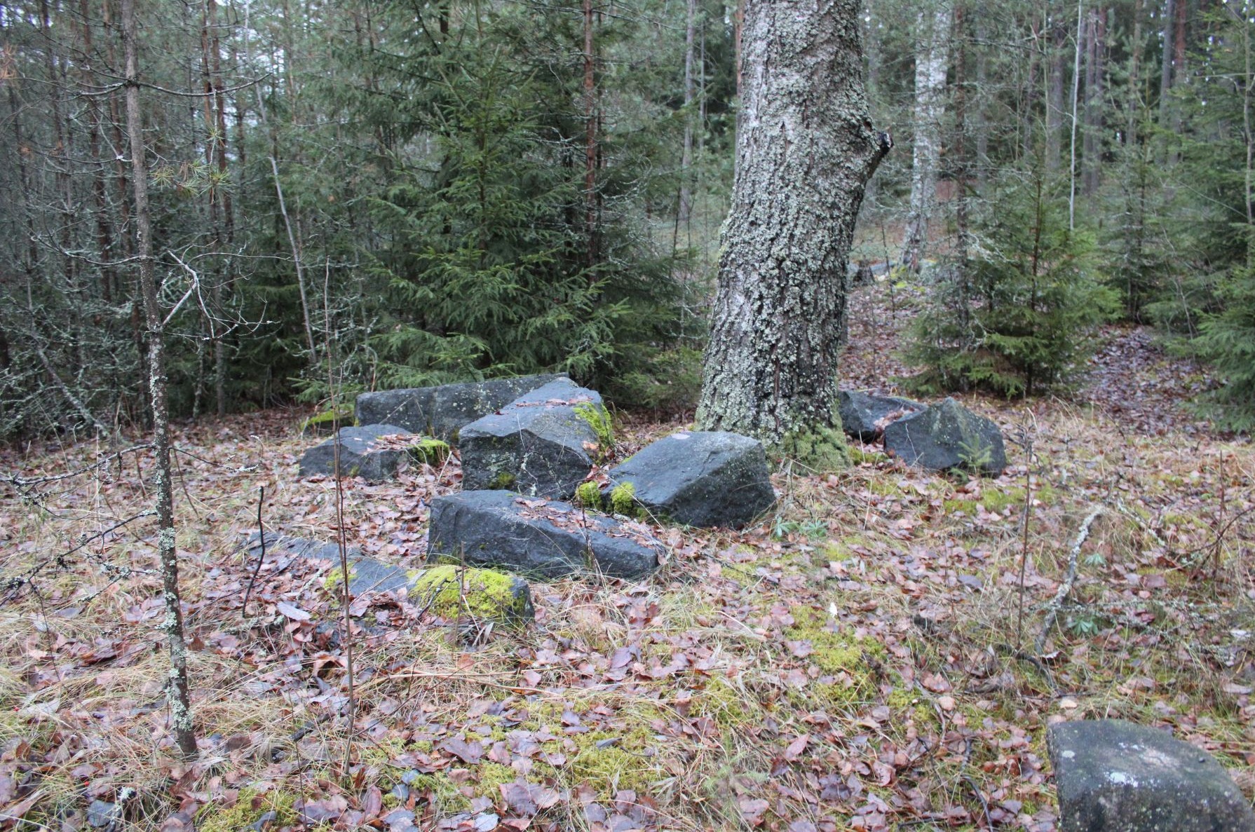 Into Tilander