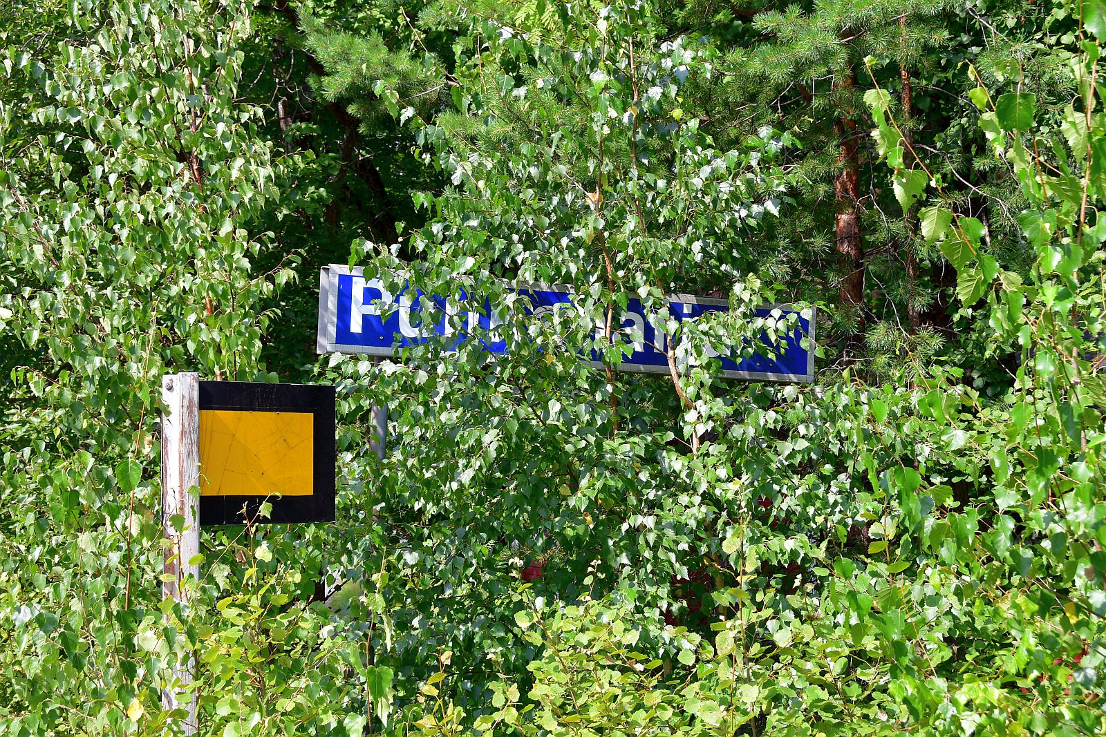 Jukka P. T. Ruuskanen