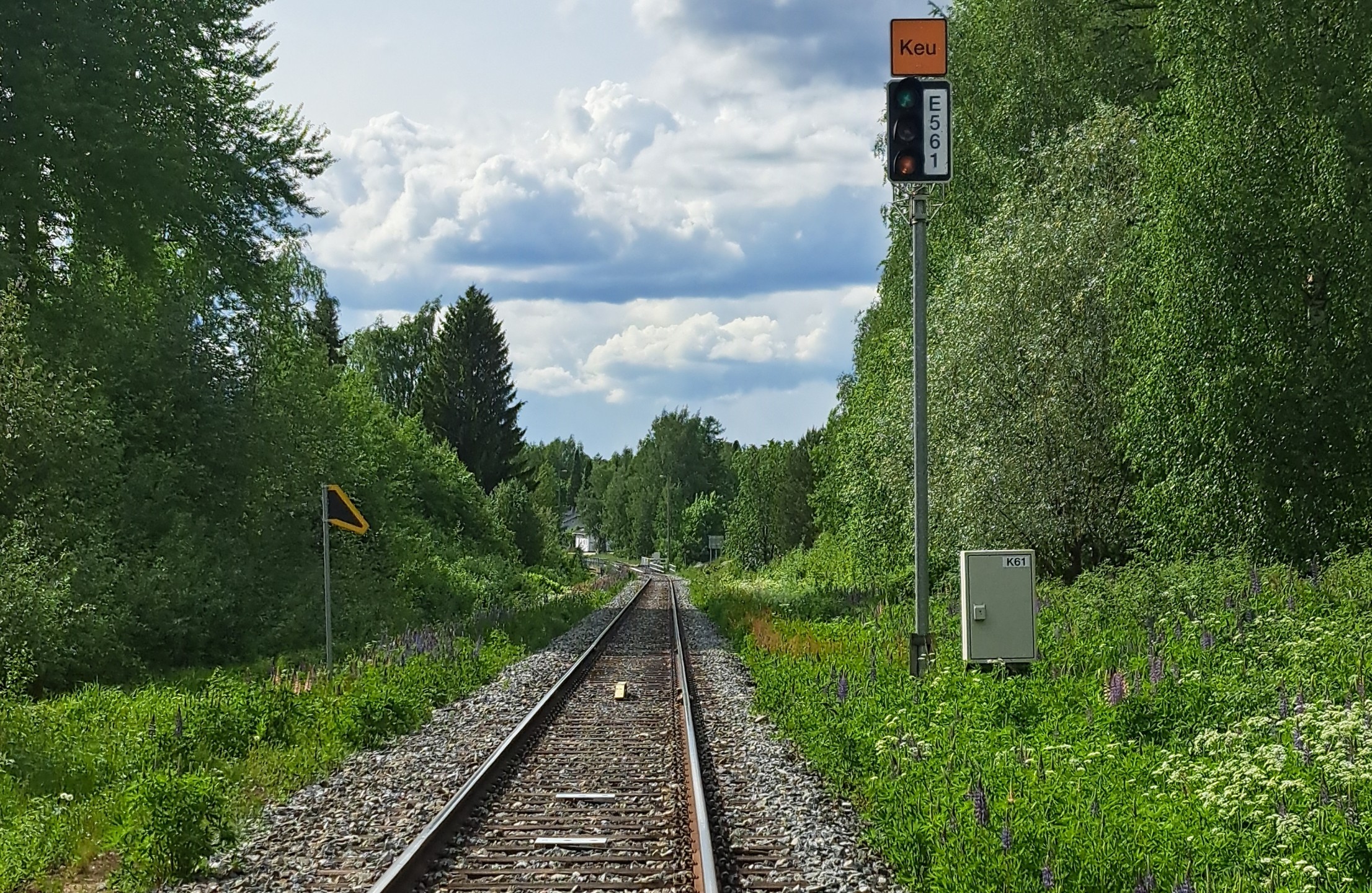 Teemu Halttunen