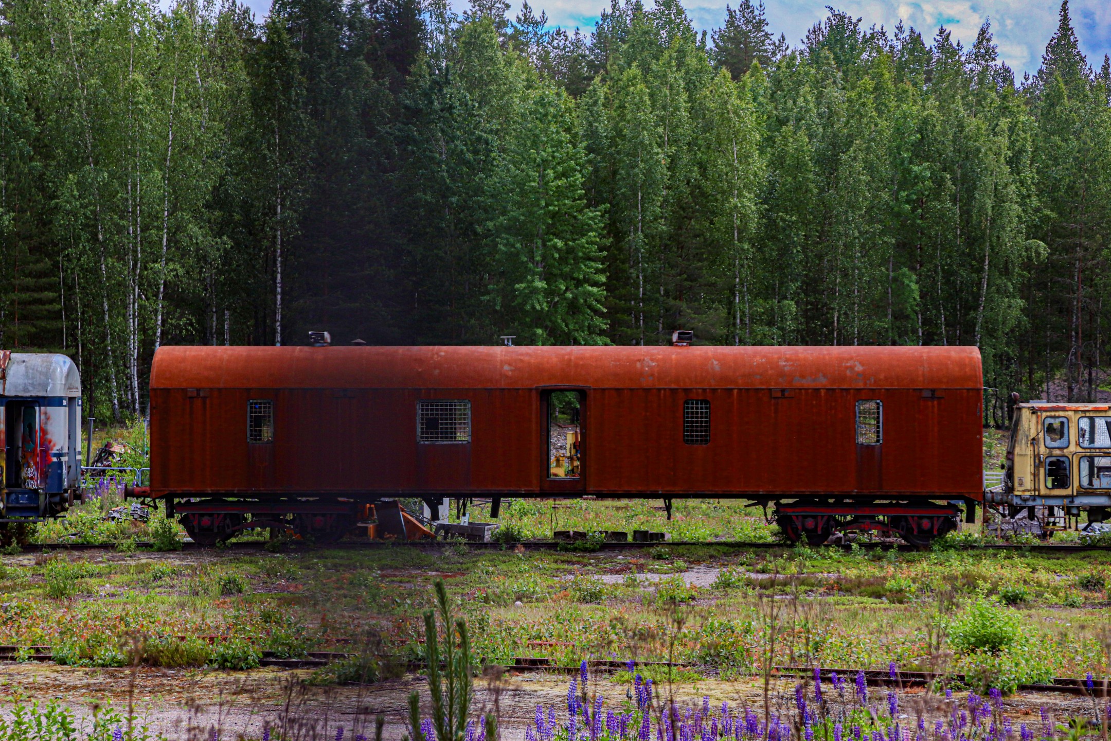 Veikko Hattunen