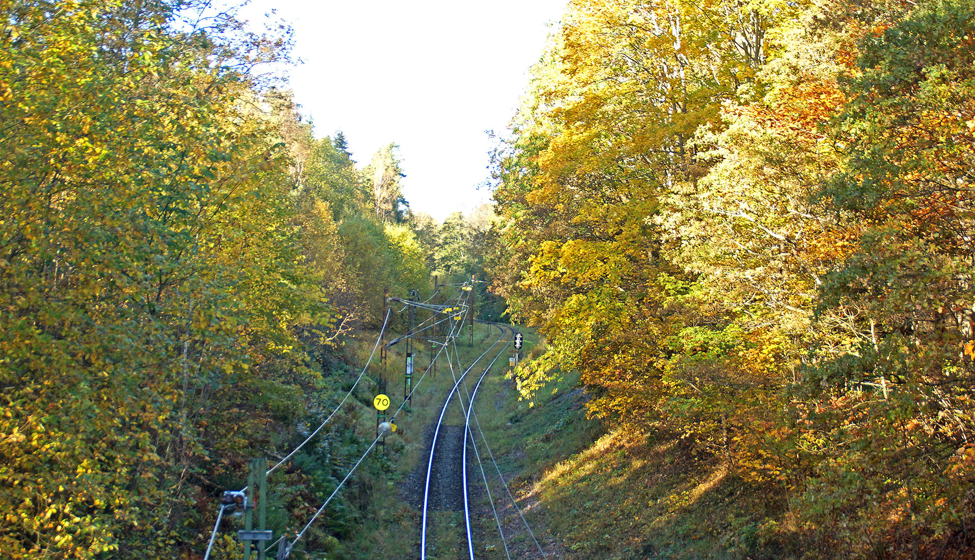 Hannu Peltola