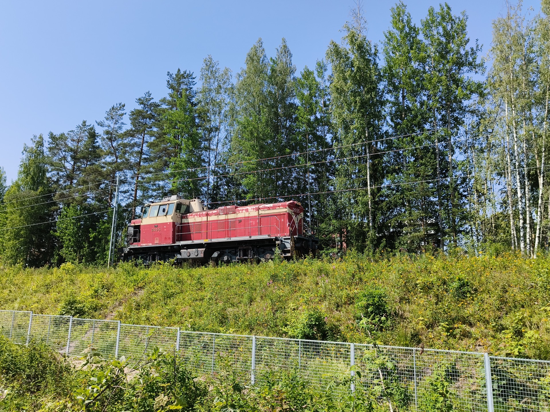 Jani-Ari Seppänen