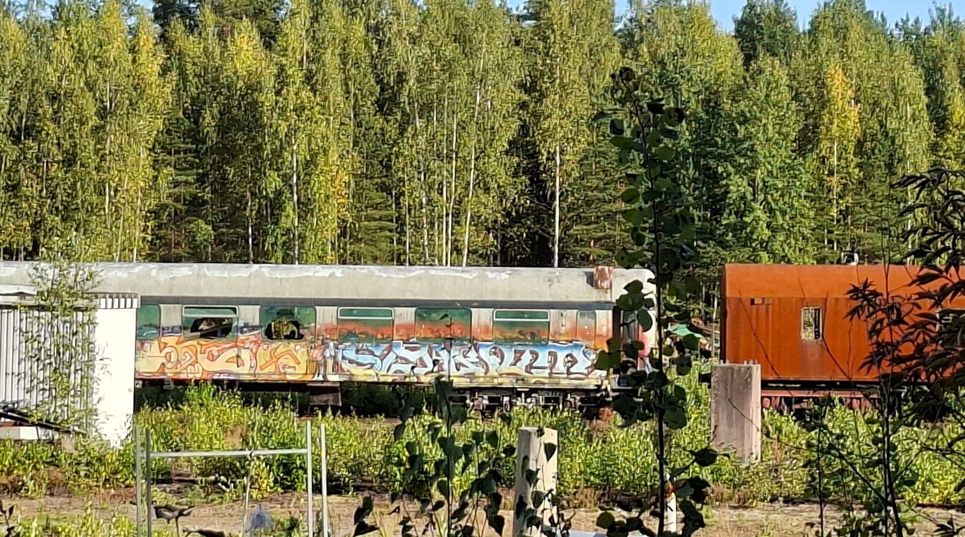 Into Tilander