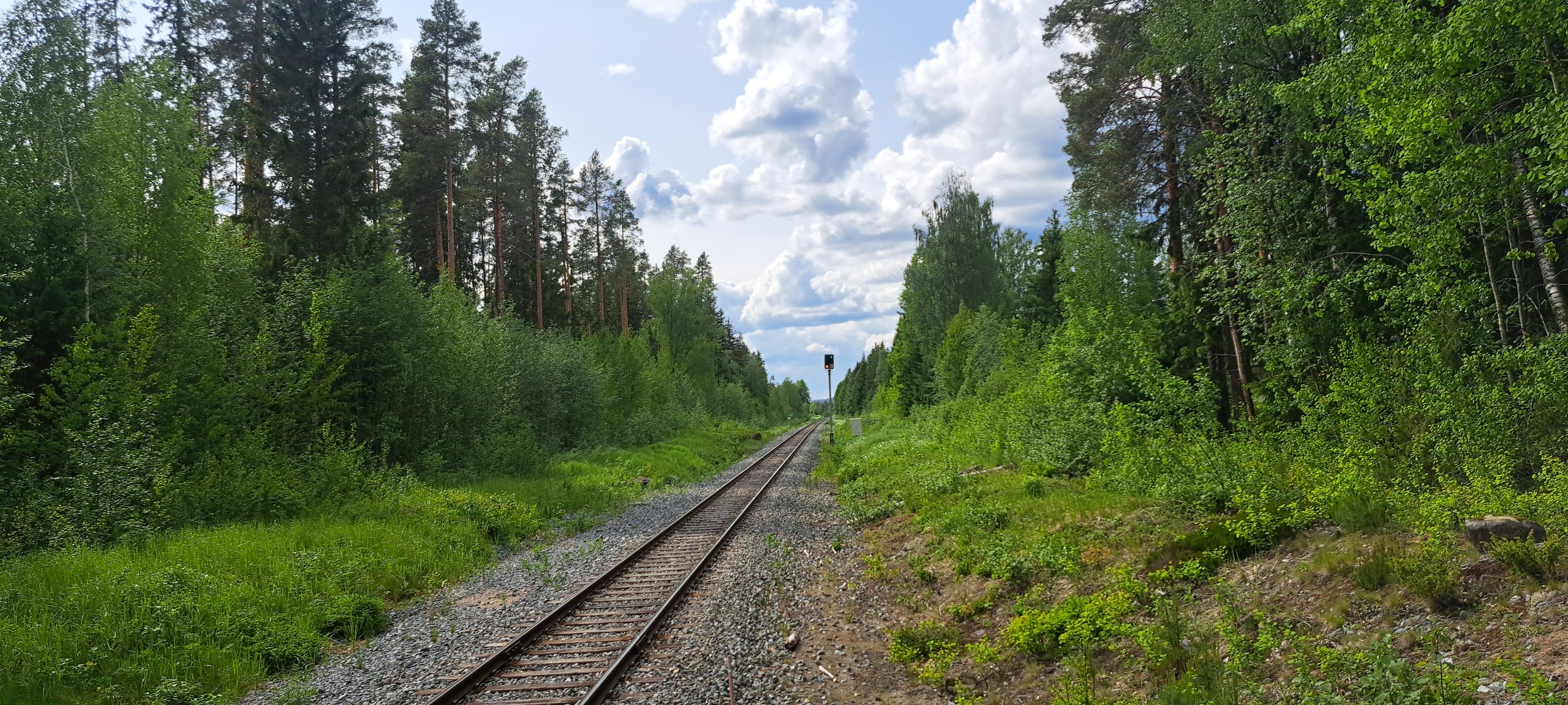 Teemu Halttunen