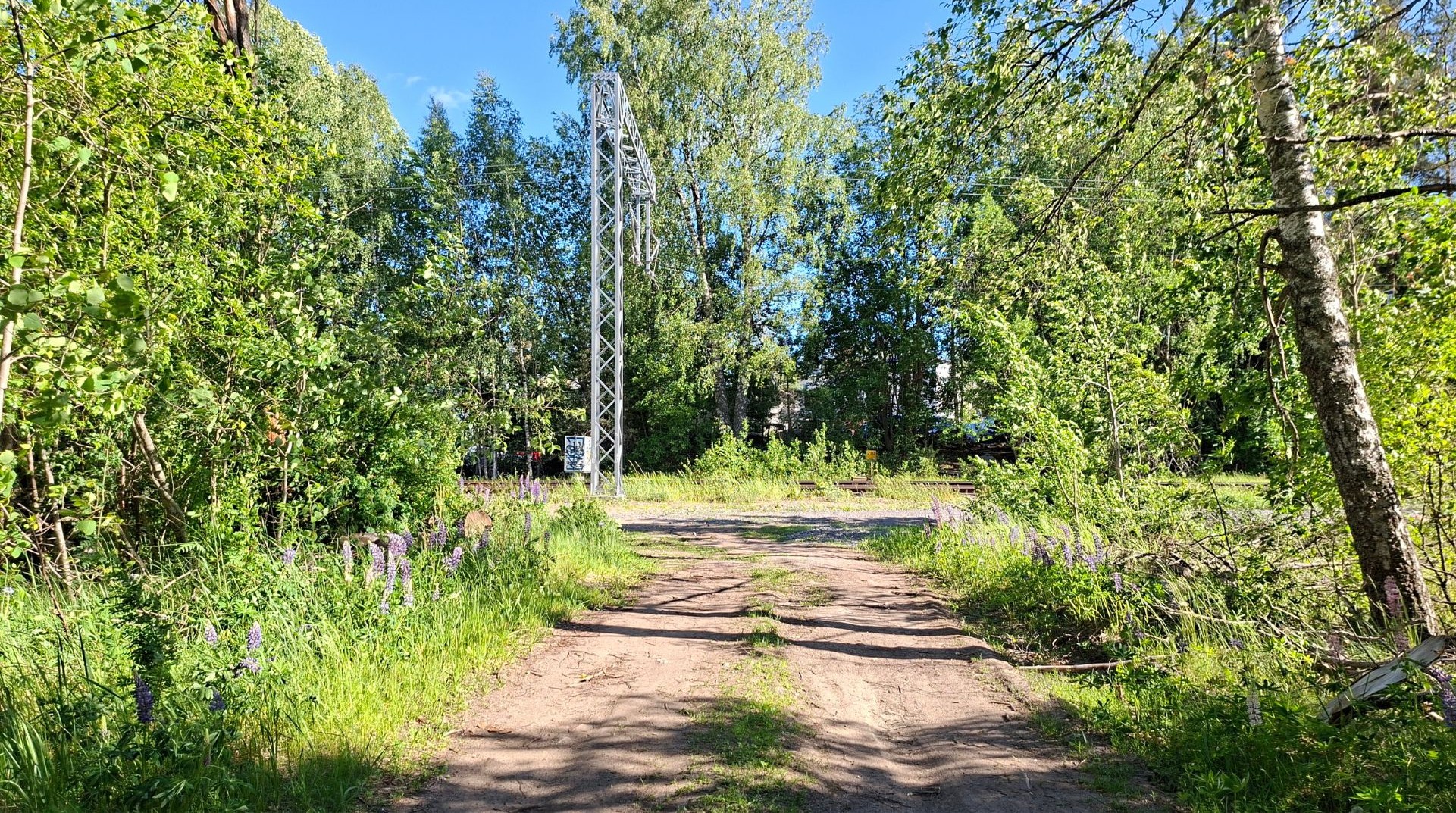 Into Tilander