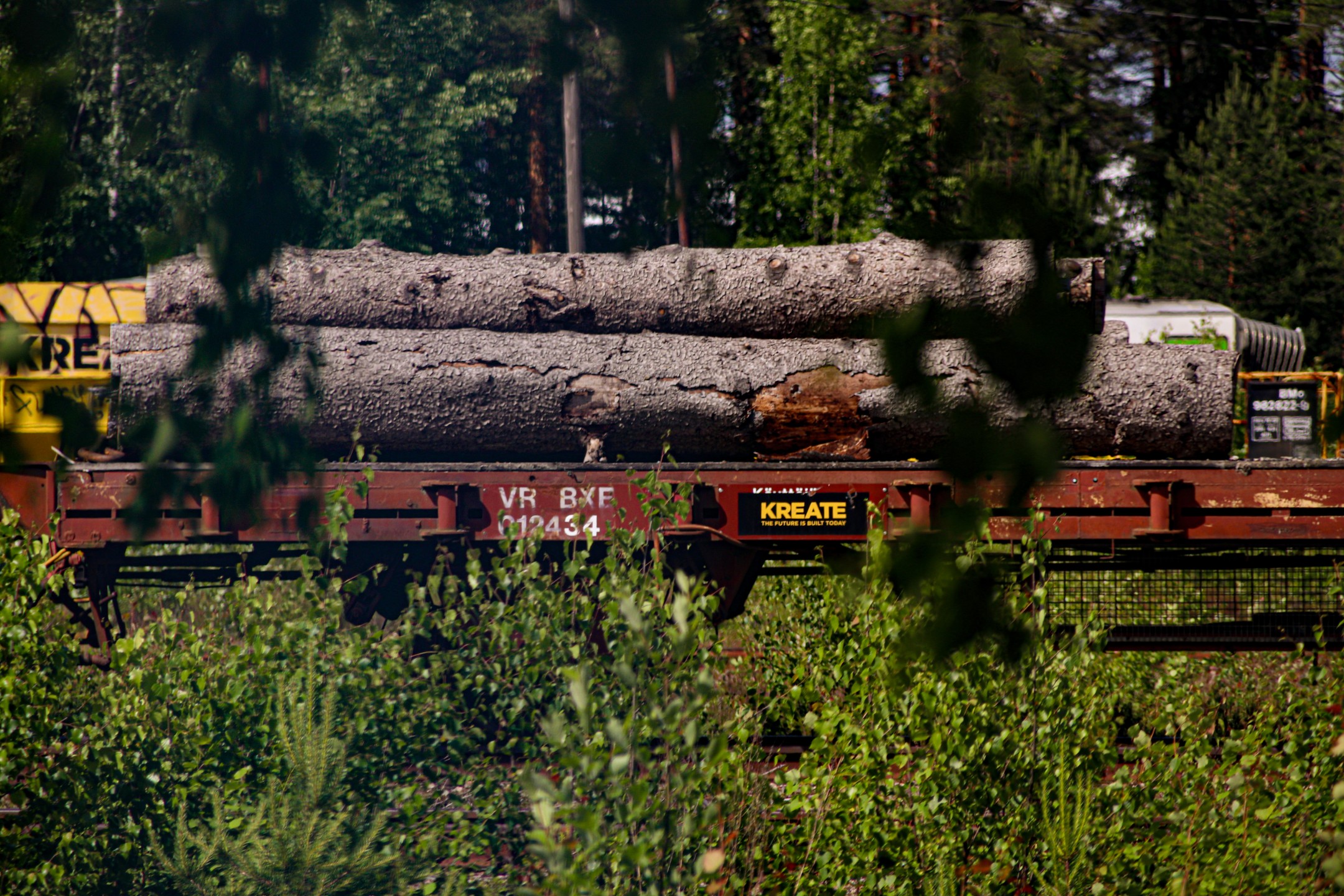 Veikko Hattunen