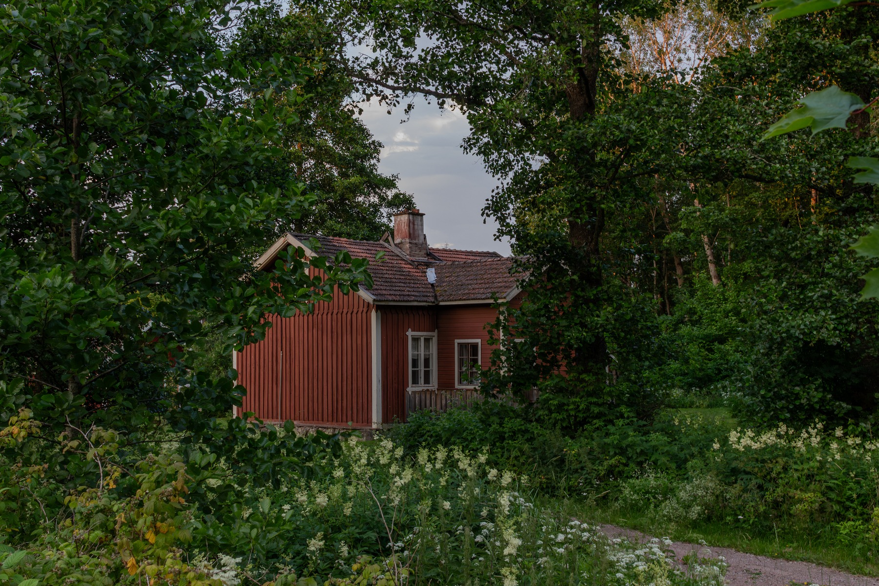 Visa Pöntinen
