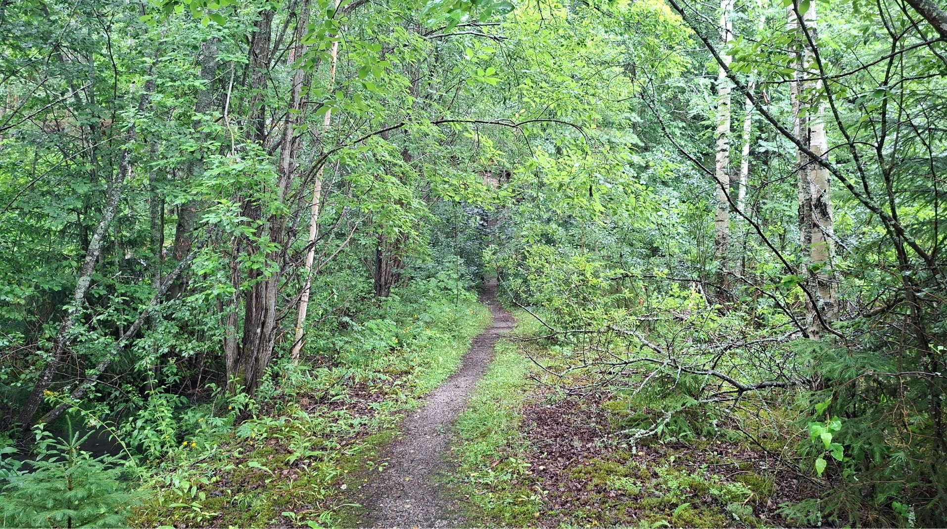 Into Tilander