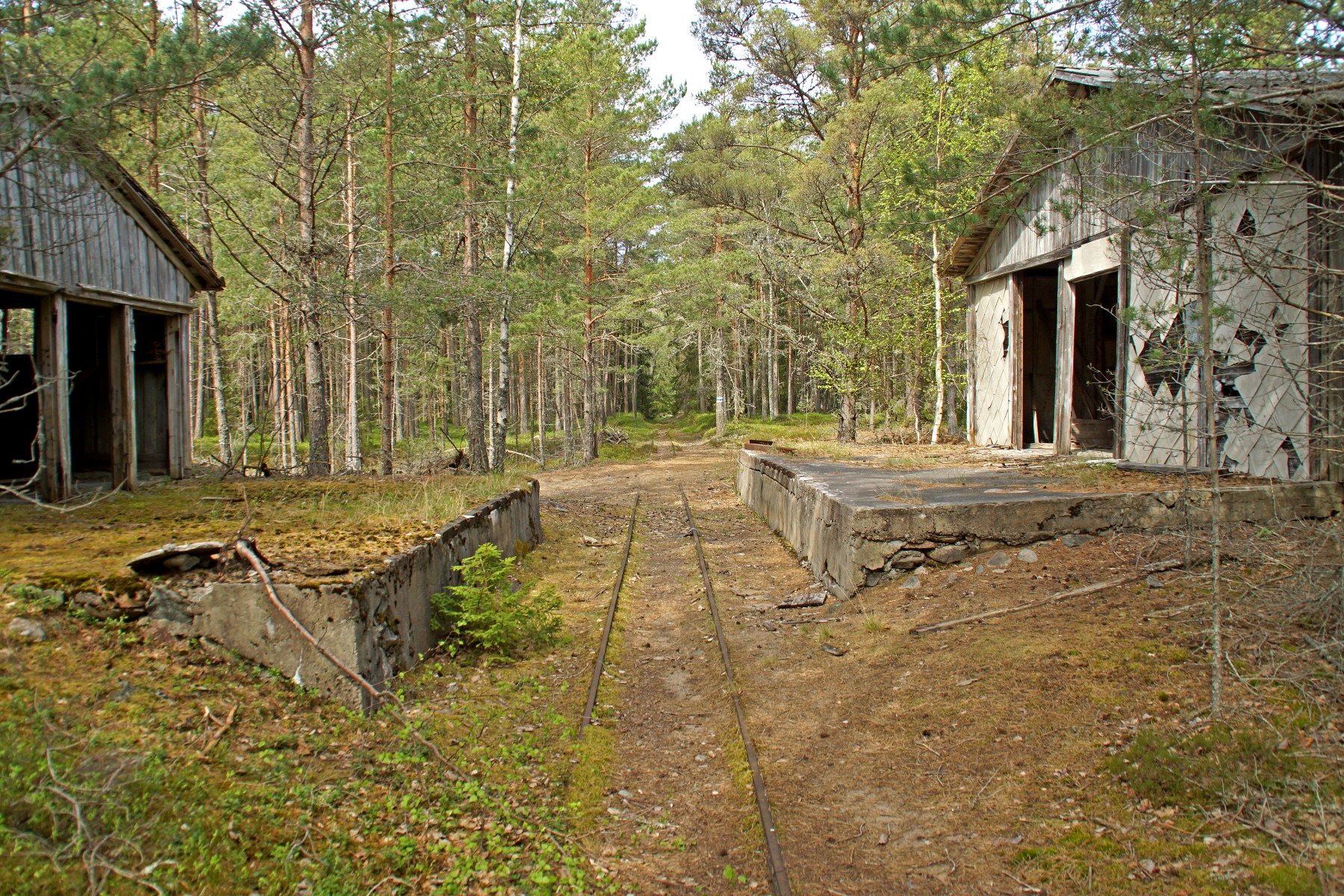 Hannu Peltola
