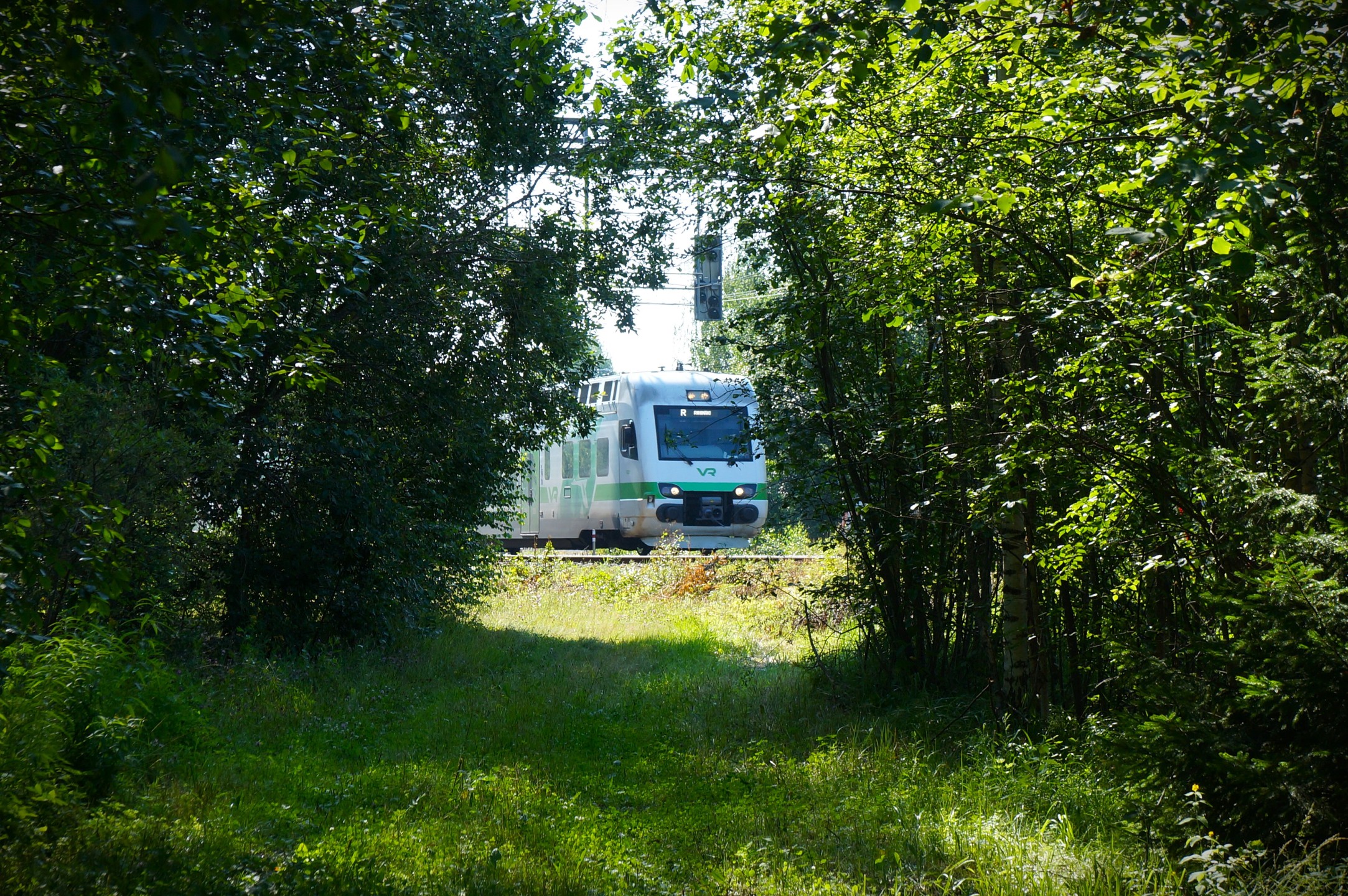 Veeti Saukkonen