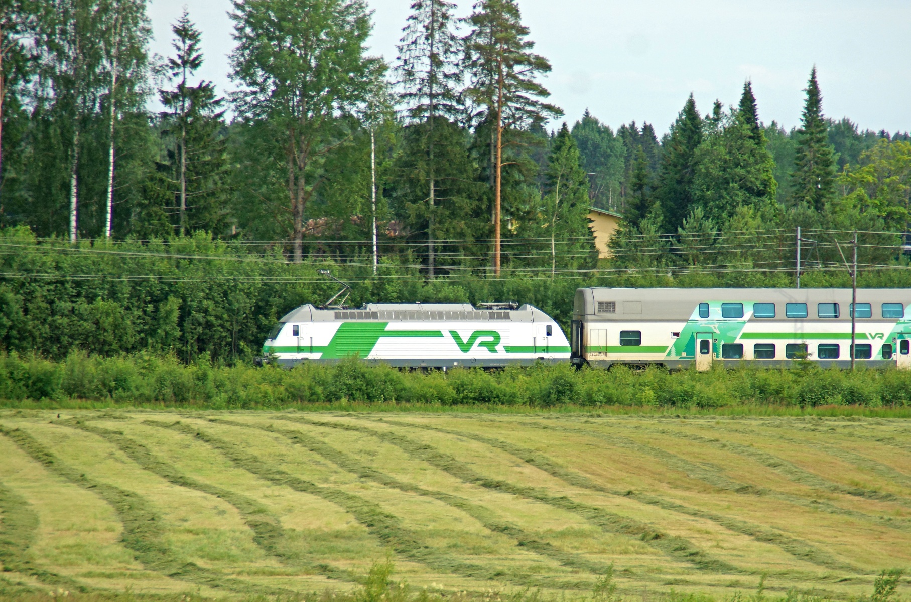 Hannu Peltola