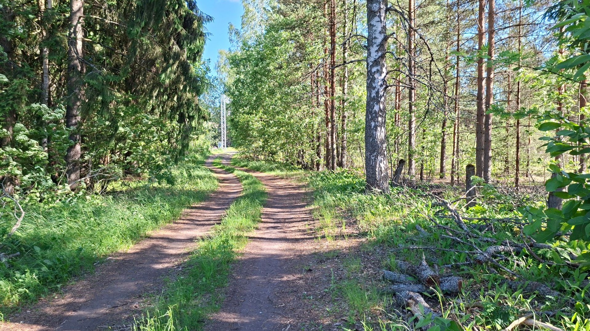 Into Tilander