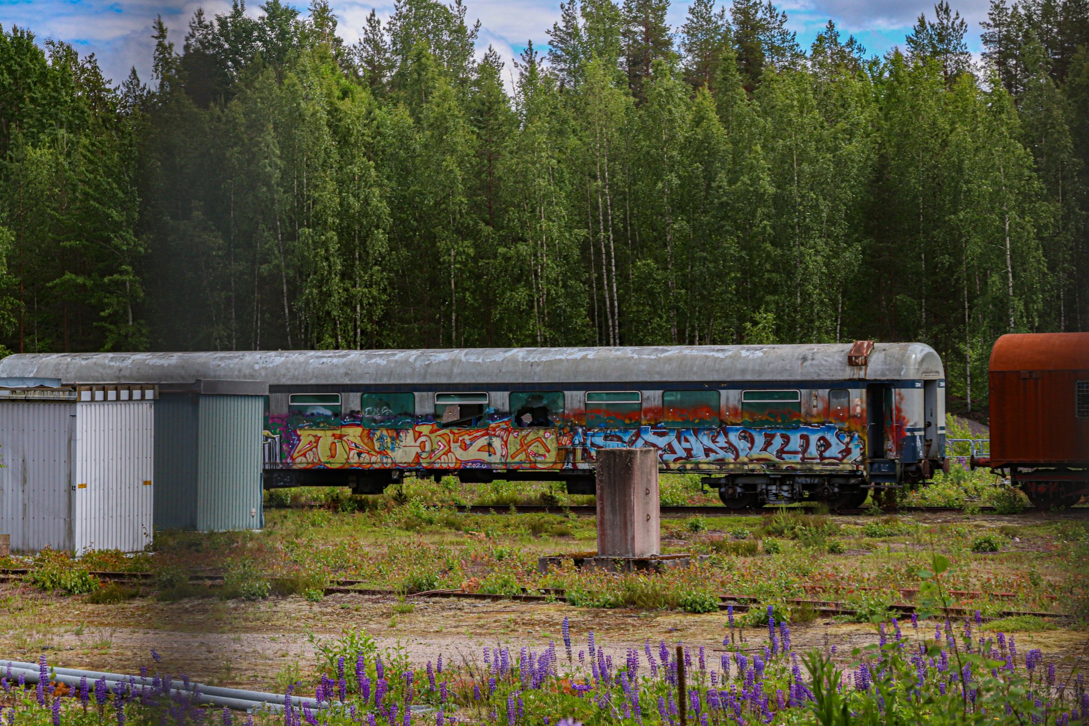 Veikko Hattunen