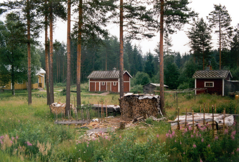 Olli Kauhanen