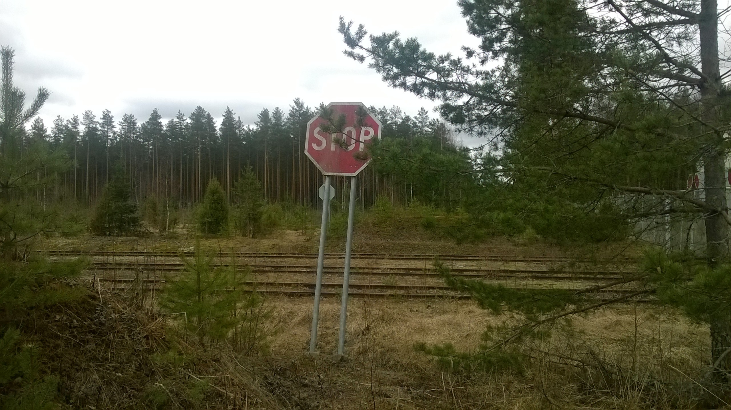 Raimo Hämäläinen