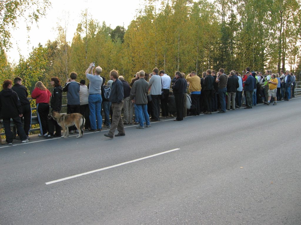 Janne Määttä