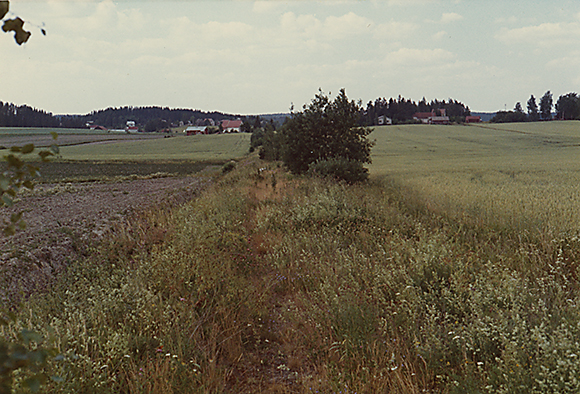 Pekka Viitamäki