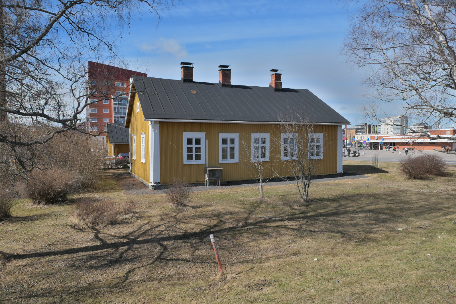 Panu Breilin