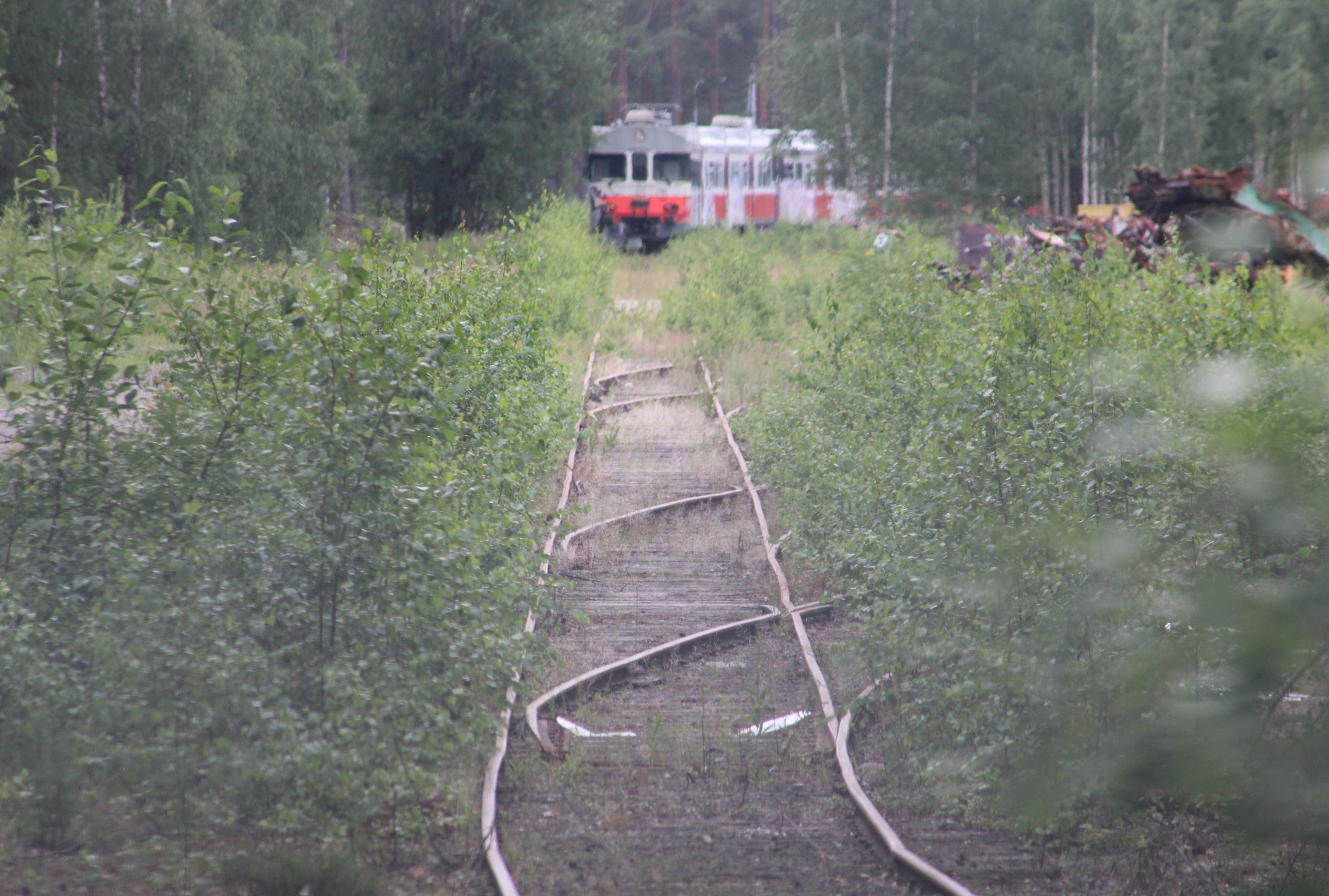 Into Tilander