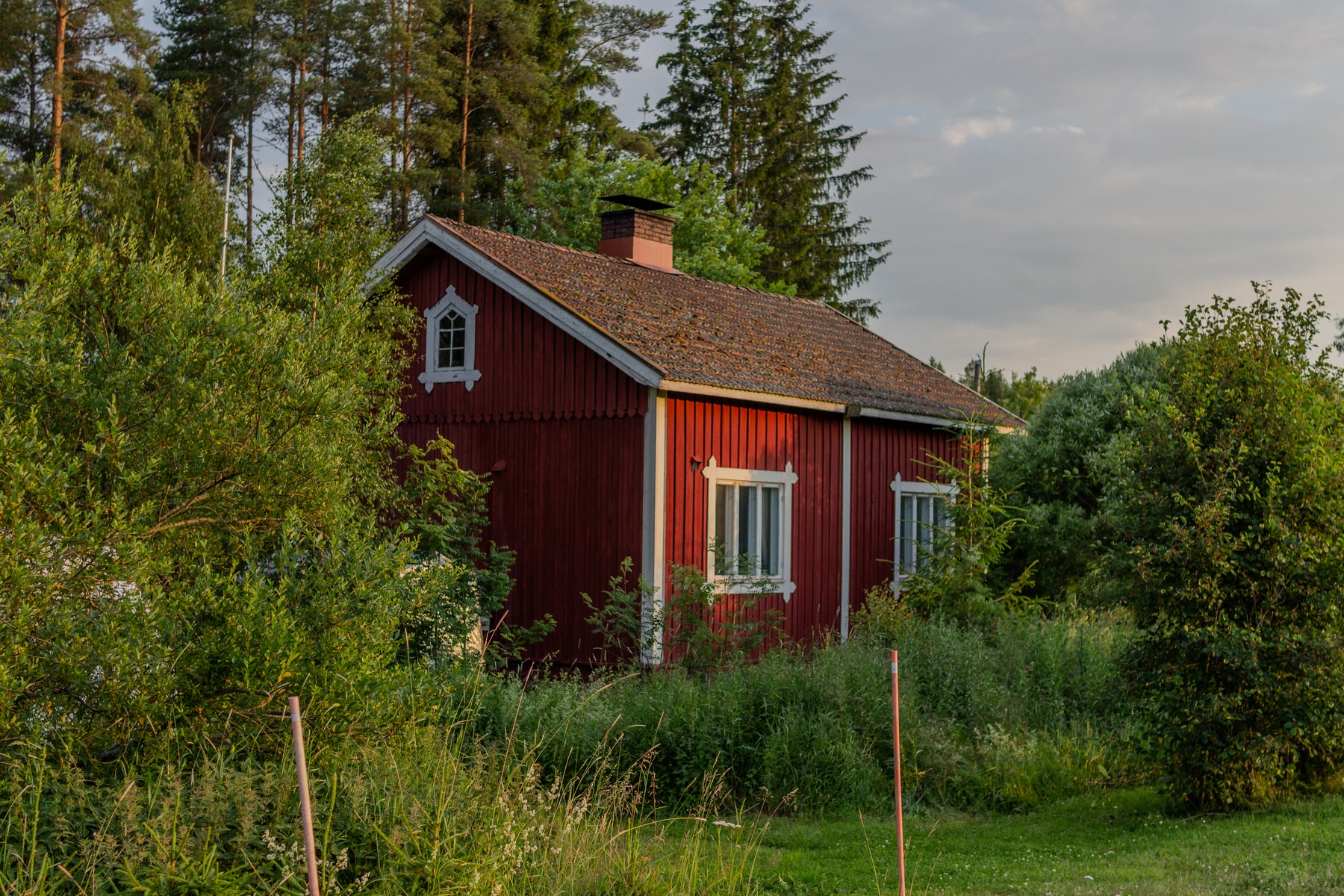 Visa Pöntinen