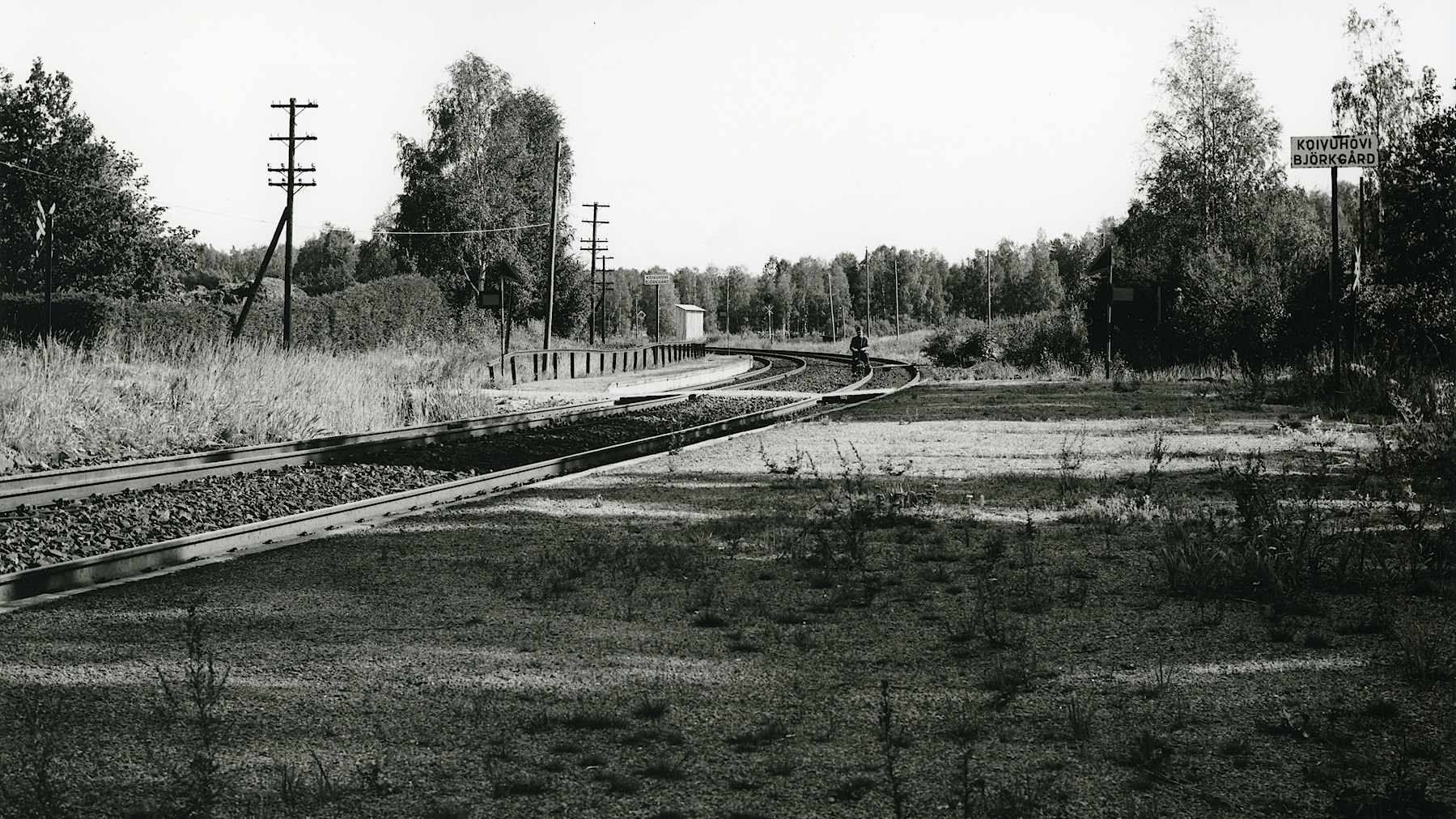 Olavi Karasjoki
