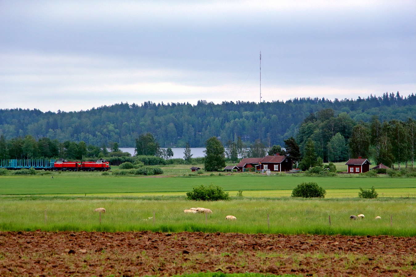 Tuomas Pätäri