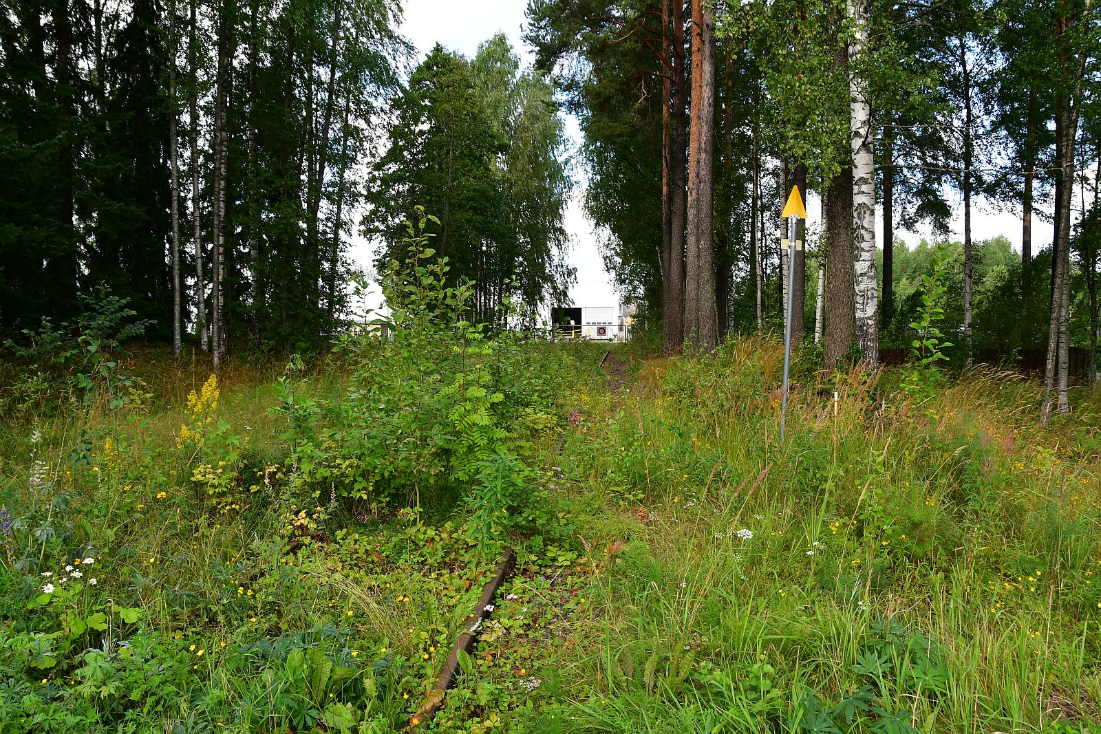 Jukka P. T. Ruuskanen