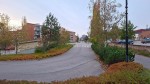 kuva