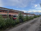 kuva
