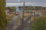 kuva
