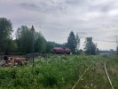 kuva
