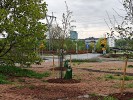 kuva