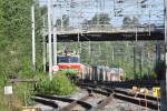 kuva