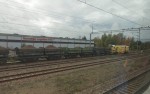 kuva