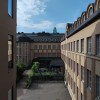 kuva